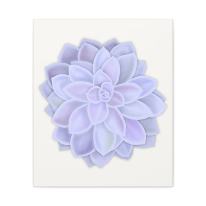 Graptopetalum Murasaki Succulent Canvas Print – Botanical Wall Art