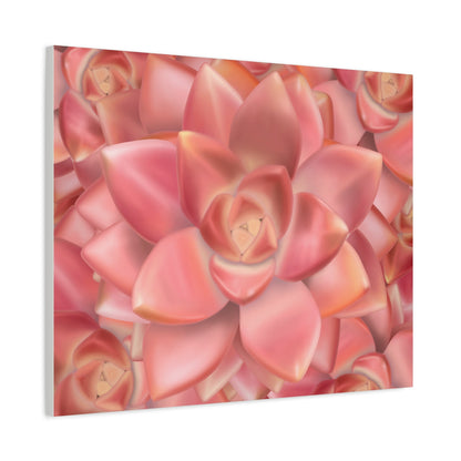 Graptosedum California Sunset Succulent Pattern Canvas Print – Botanical Wall Art