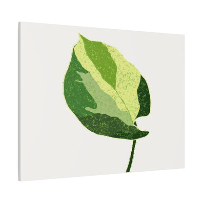 Manjula Pothos Illustrated Canvas Print – Botanical Wall Art