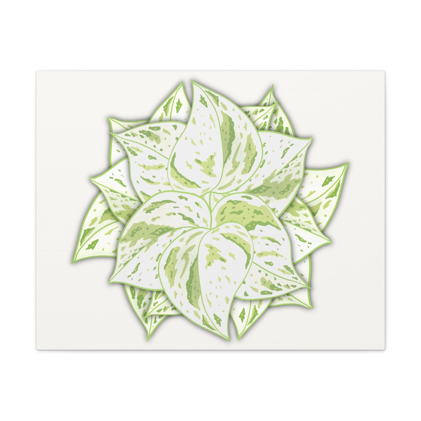 Snow Queen Pothos Canvas Print – Botanical Wall Art