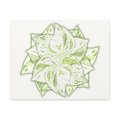 Snow Queen Pothos Canvas Print – Botanical Wall Art