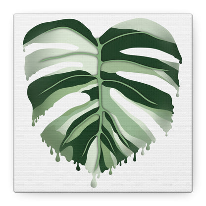Melting Monstera Albo Canvas Print – Botanical Wall Art