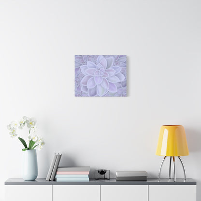 Graptopetalum Murasaki Succulent Pattern Canvas Print – Botanical Wall Art