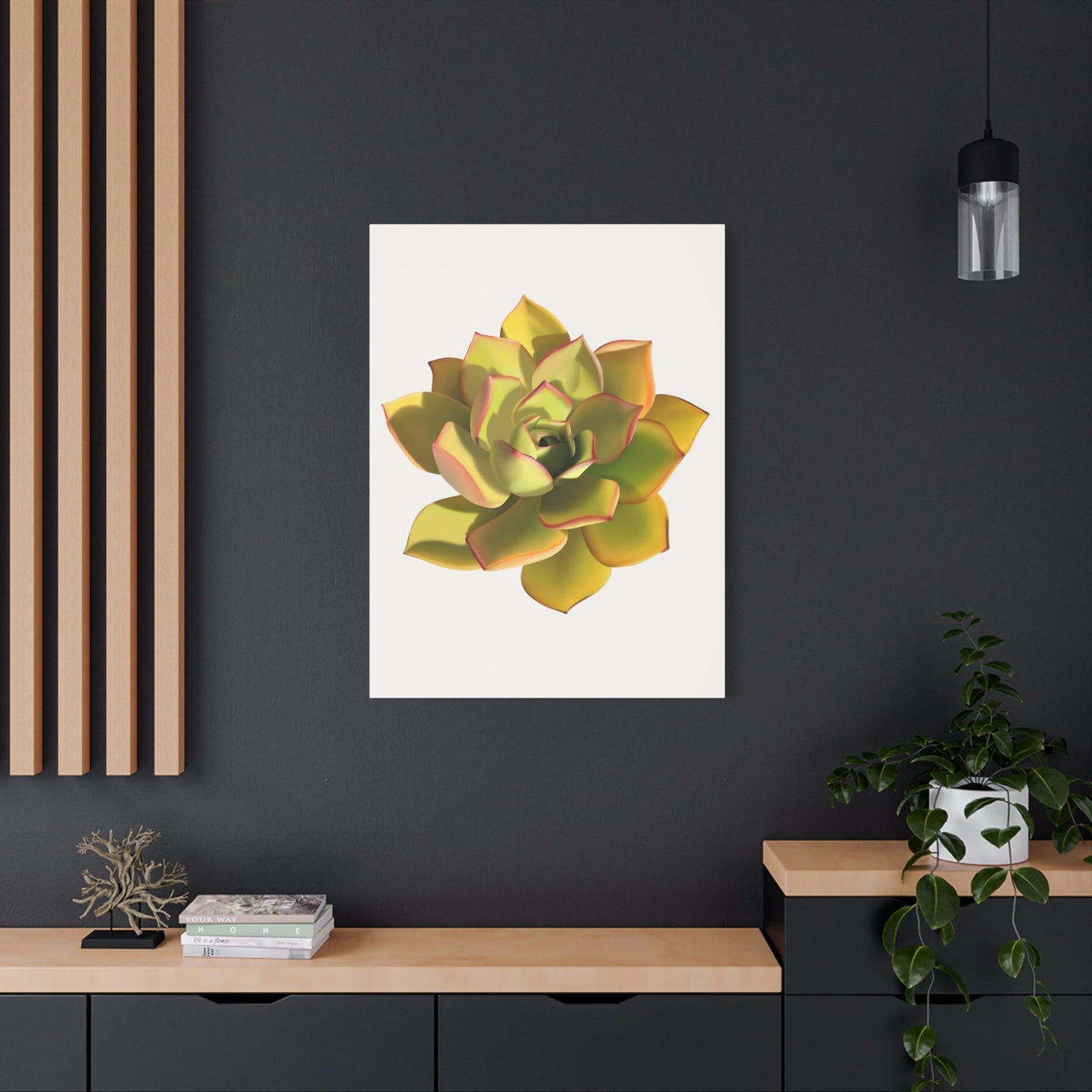 Noble Aeonium Succulent Canvas Print – Botanical Wall Art