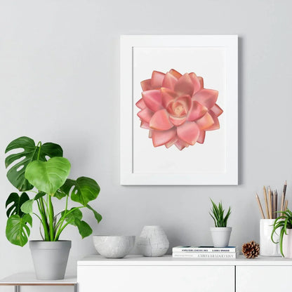 Graptosedum California Sunset Succulent Framed Print – Botanical Wall Art