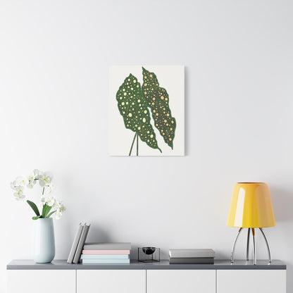 Begonia Maculata Canvas Print – Botanical Wall Art