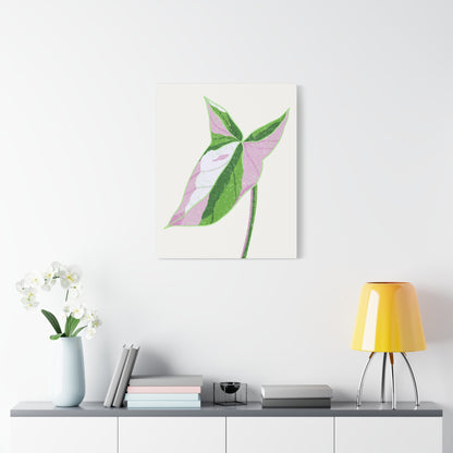 Syngonium Tricolor Canvas Print – Botanical Wall Art