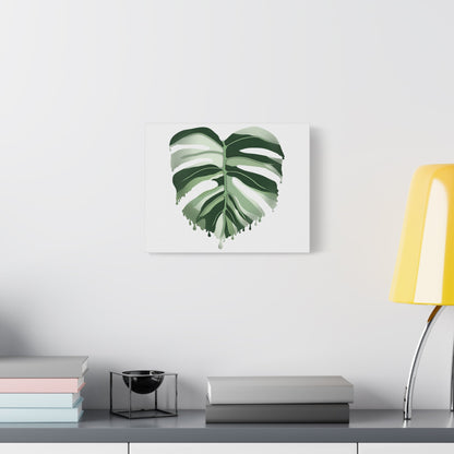 Melting Monstera Albo Canvas Print – Botanical Wall Art