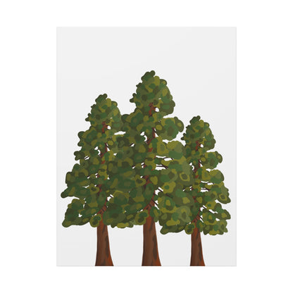 Coastal Redwood Canvas Print – Wall Art