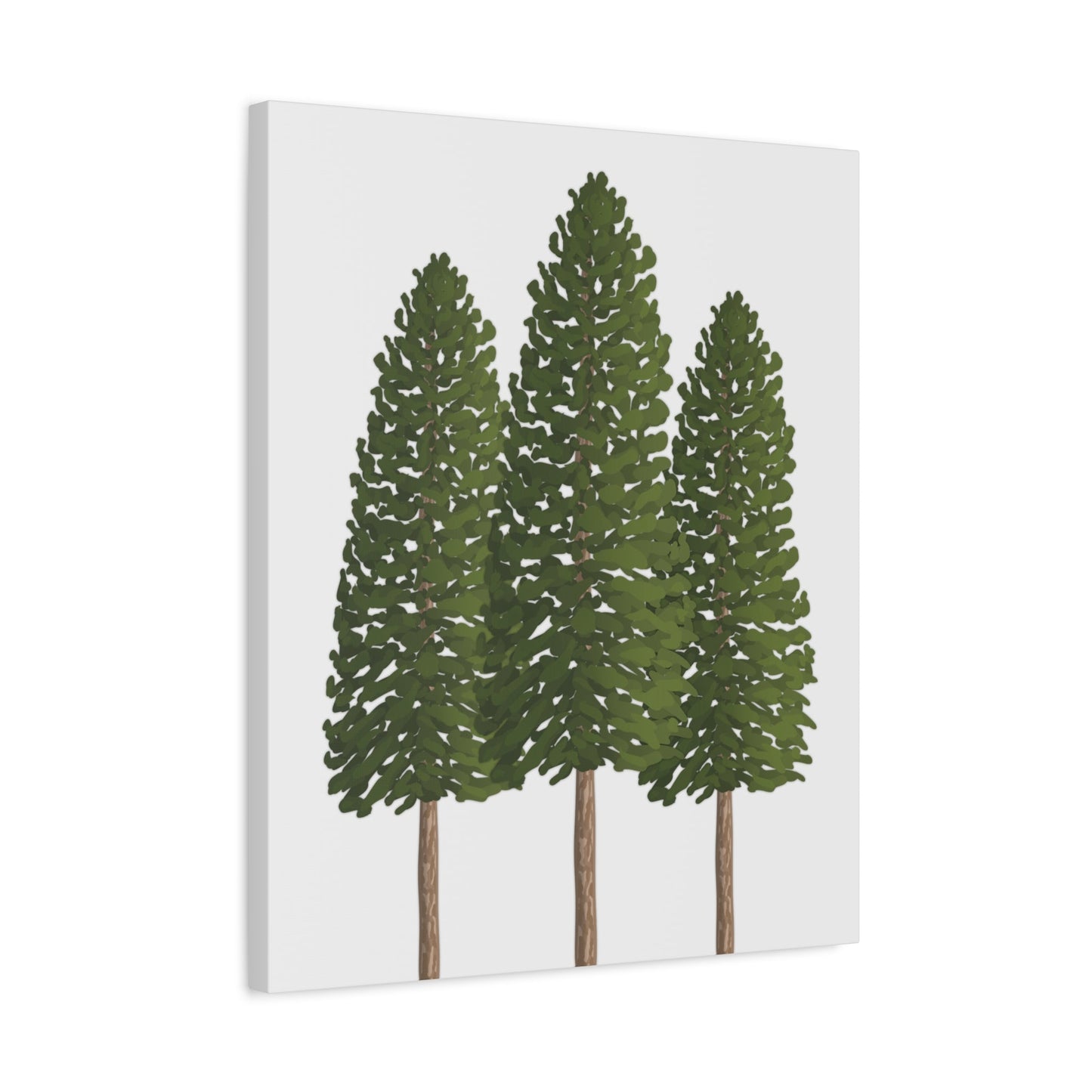 Ponderosa Pine Canvas Print – Wall Art
