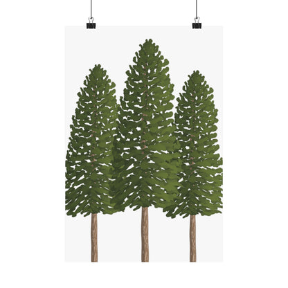Ponderosa Pine Print – Unframed Wall Art
