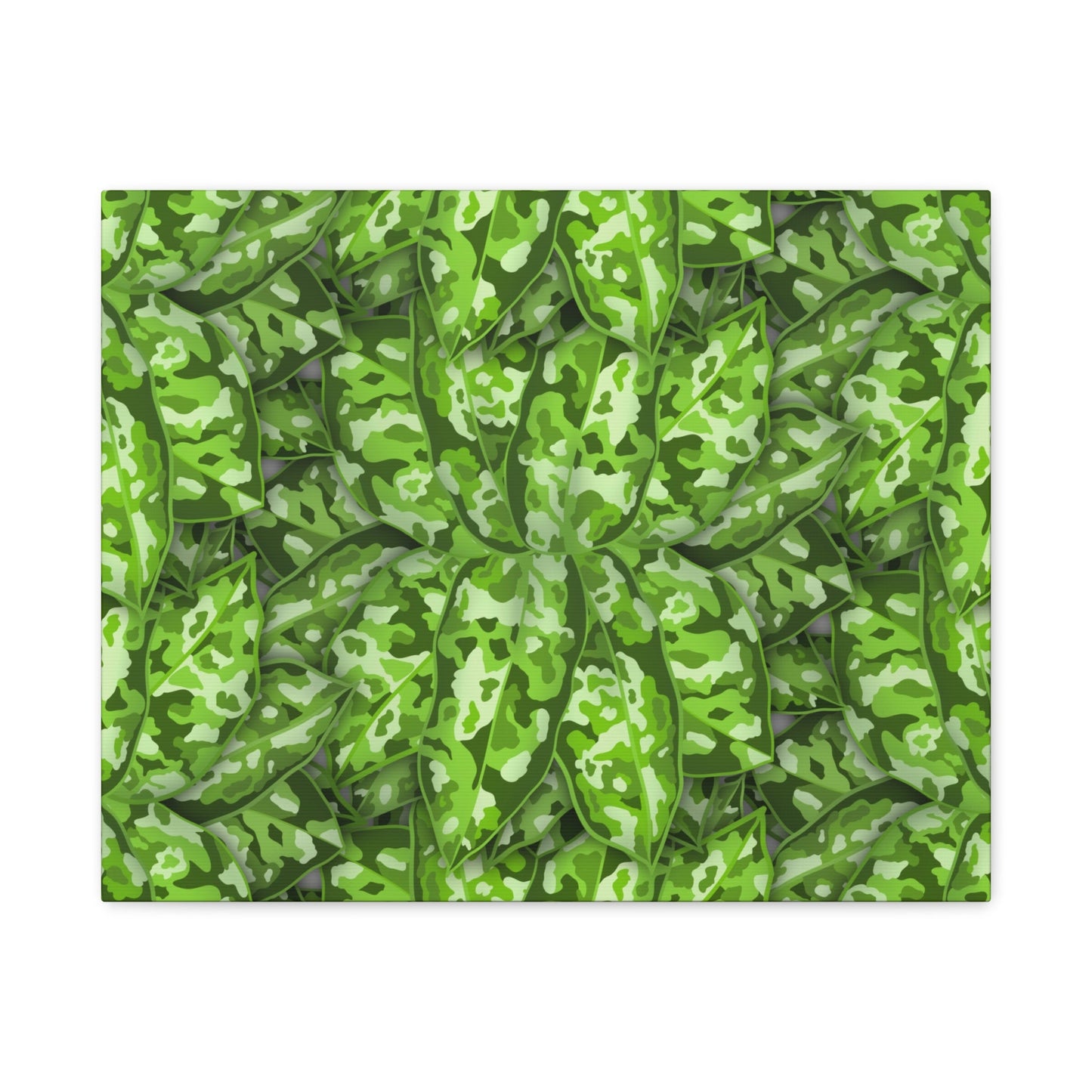 Aglaonema Pictum Canvas Print – Botanical Wall Art