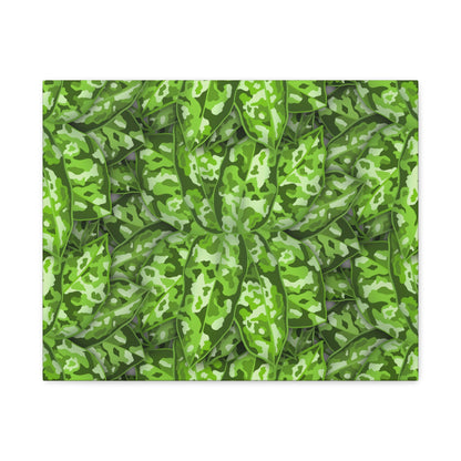 Aglaonema Pictum Canvas Print – Botanical Wall Art