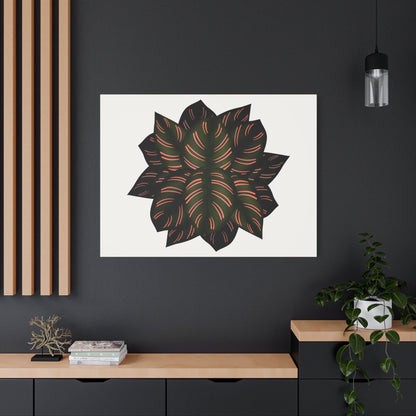 Calathea Pinstripe Canvas Print – Botanical Wall Art