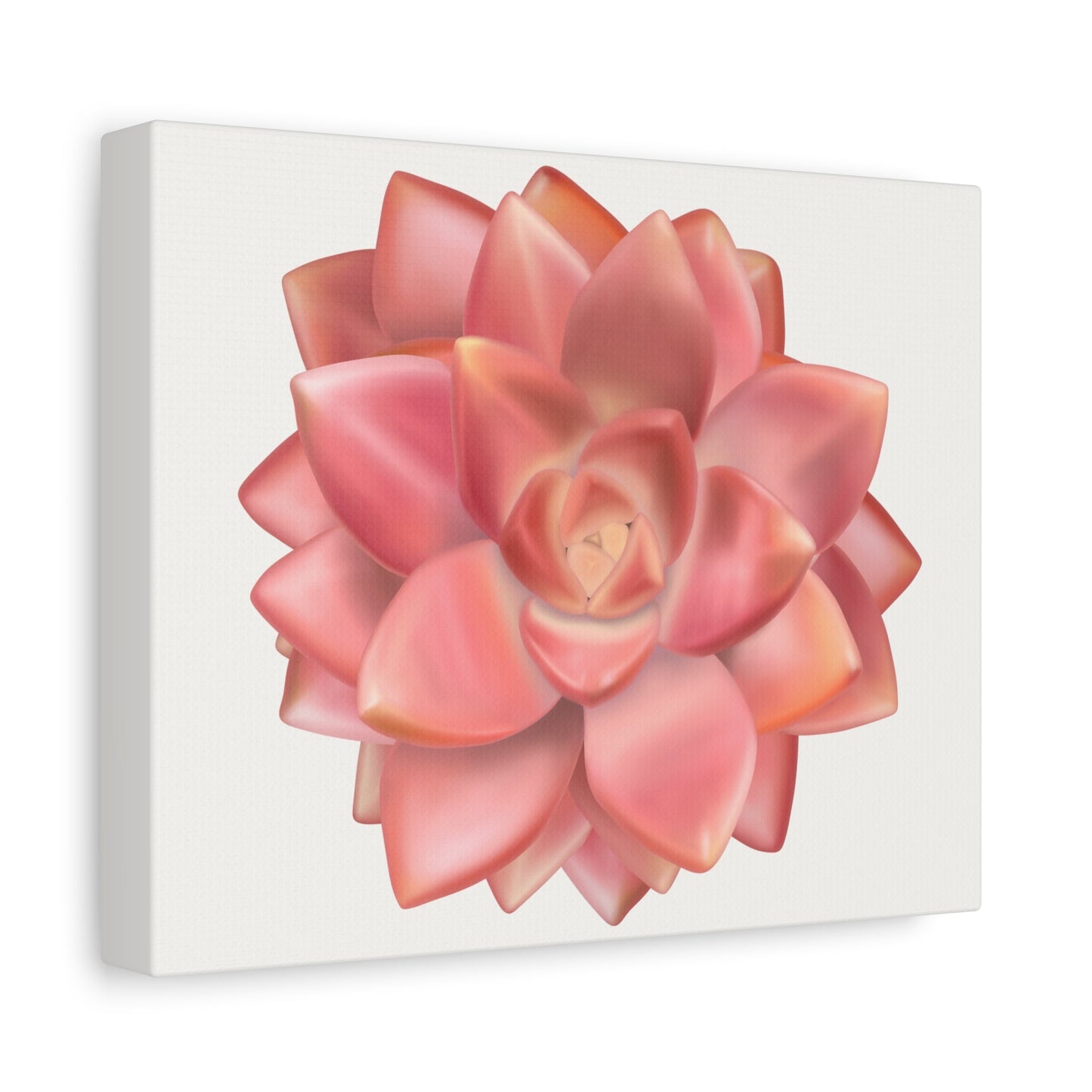 Graptosedum California Sunset Succulent Canvas Print – Botanical Wall Art