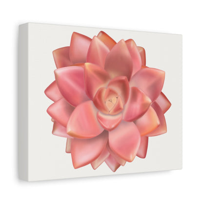 Graptosedum California Sunset Succulent Canvas Print – Botanical Wall Art