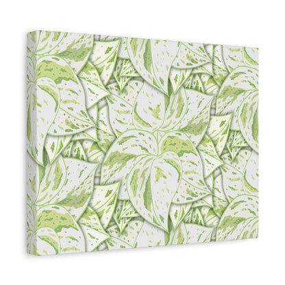 Snow Queen Pothos Pattern Canvas Print – Botanical Wall Art