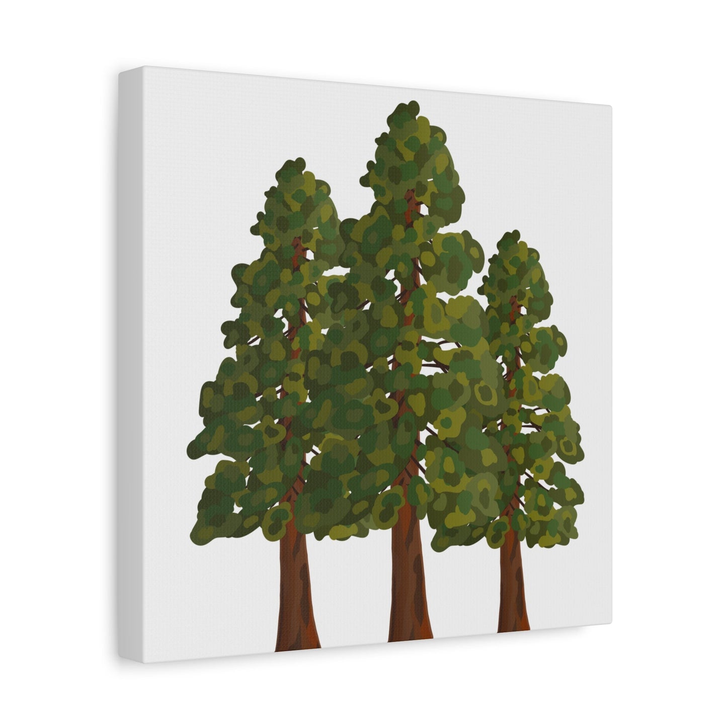 Coastal Redwood Canvas Print – Wall Art