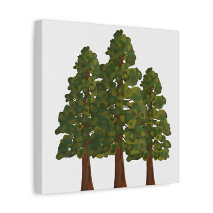 Coastal Redwood Canvas Print – Wall Art