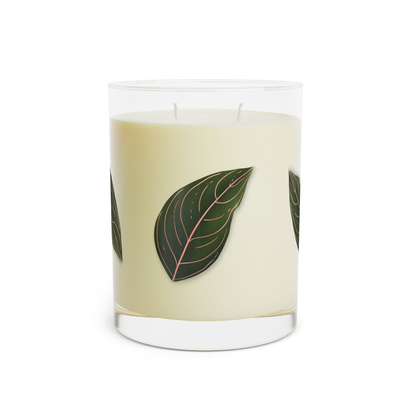 Aglaonema Rotundum Soy Candle 11 oz – Three Scent Options