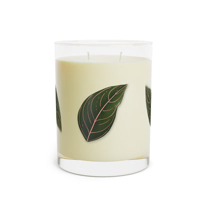 Aglaonema Rotundum Soy Candle 11 oz – Three Scent Options