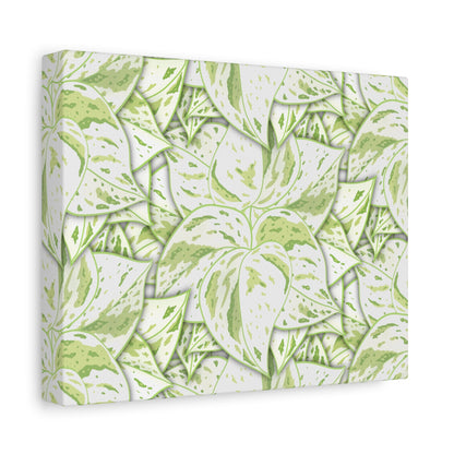 Snow Queen Pothos Pattern Canvas Print – Botanical Wall Art
