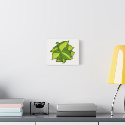 Philodendron Brasil Canvas Print – Botanical Wall Art