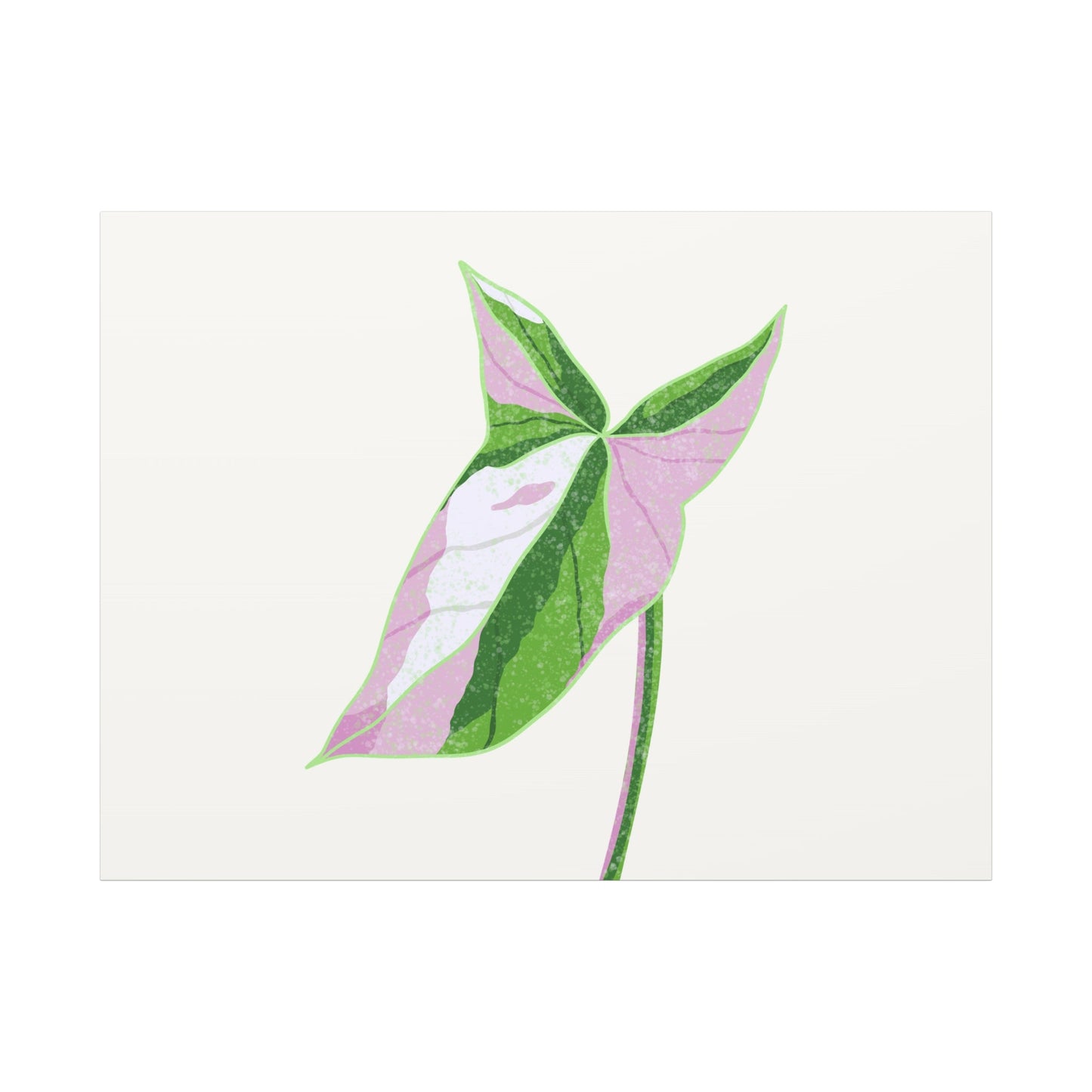 Syngonium Tricolor Canvas Print – Botanical Wall Art