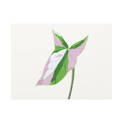 Syngonium Tricolor Canvas Print – Botanical Wall Art