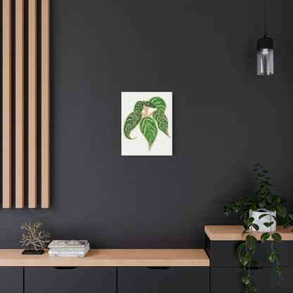 Aglaonema Sparkling Sarah Canvas Print – Botanical Wall Art