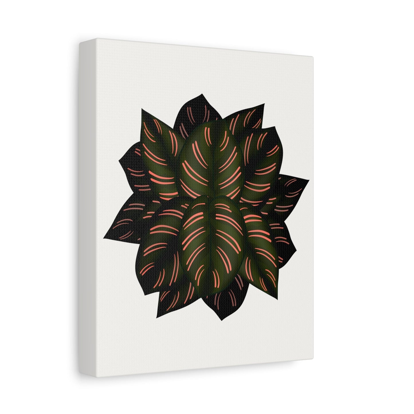 Calathea Pinstripe Canvas Print – Botanical Wall Art