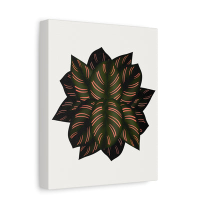 Calathea Pinstripe Canvas Print – Botanical Wall Art