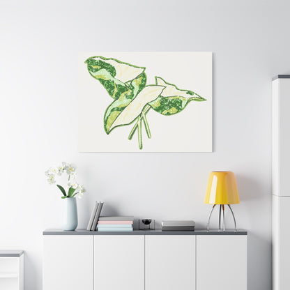 Marble Syngonium Canvas Print – Botanical Wall Art