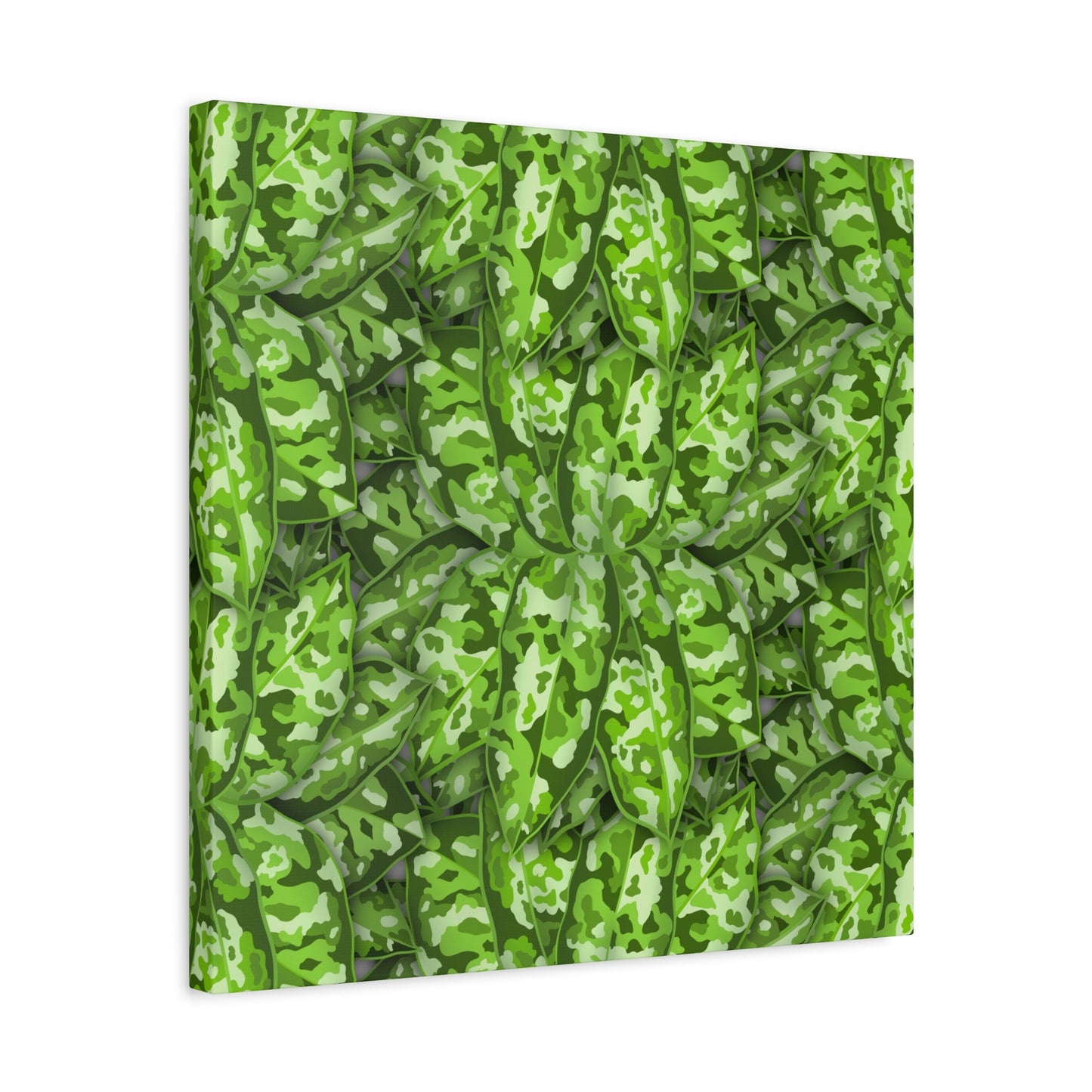 Aglaonema Pictum Canvas Print – Botanical Wall Art
