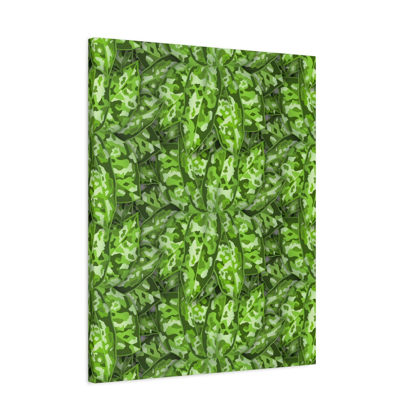 Aglaonema Pictum Canvas Print – Botanical Wall Art