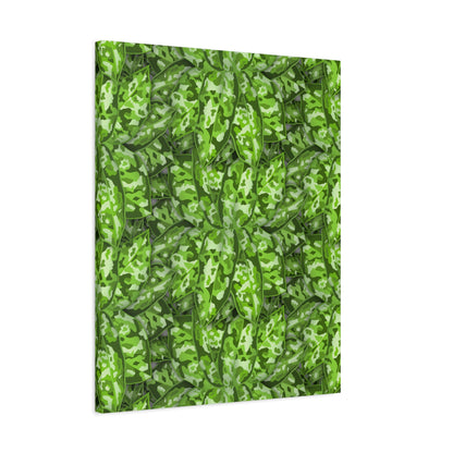 Aglaonema Pictum Canvas Print – Botanical Wall Art
