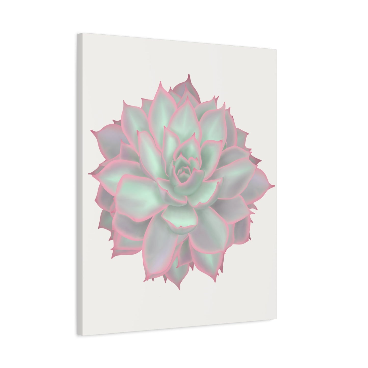 Echeveria Violet Queen Succulent Canvas Print – Botanical Wall Art