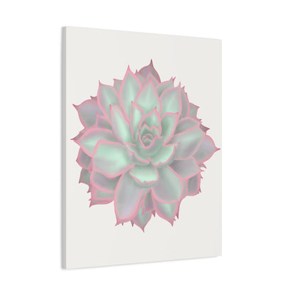 Echeveria Violet Queen Succulent Canvas Print – Botanical Wall Art