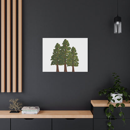 Coastal Redwood Canvas Print – Wall Art