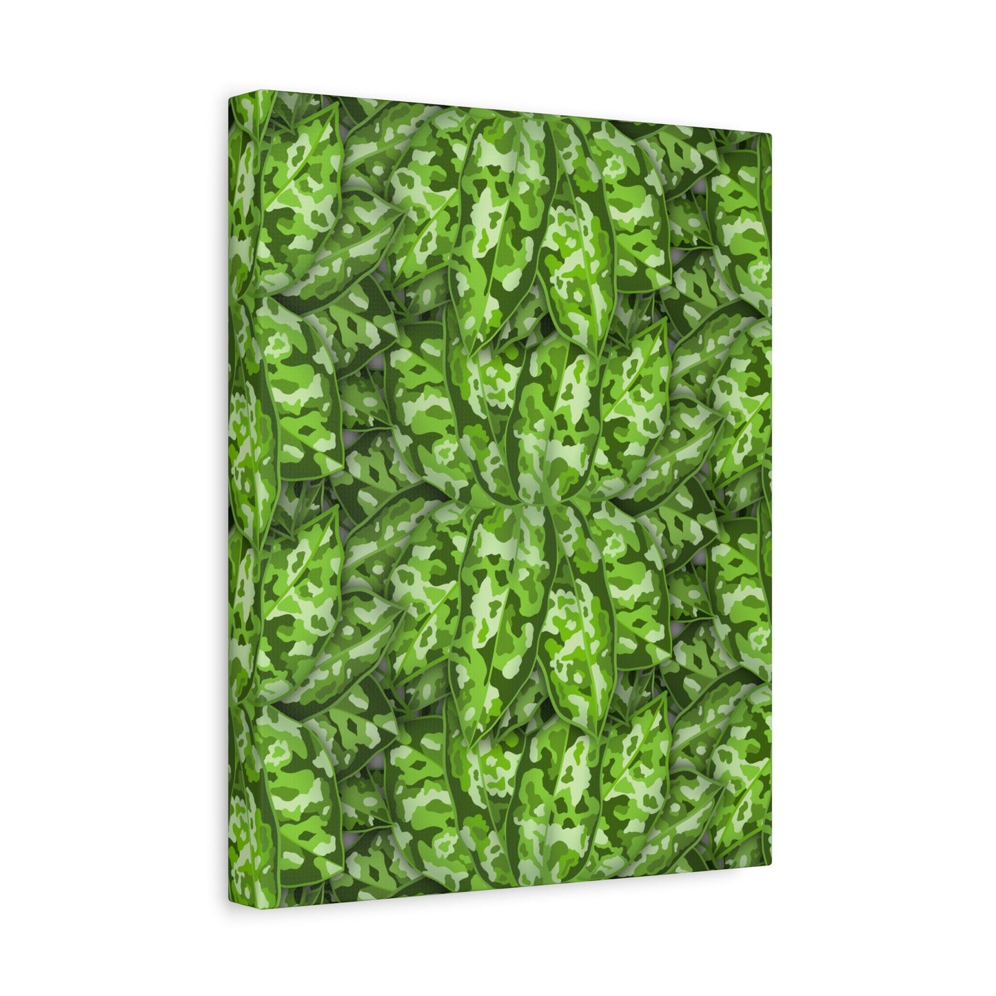 Aglaonema Pictum Canvas Print – Botanical Wall Art