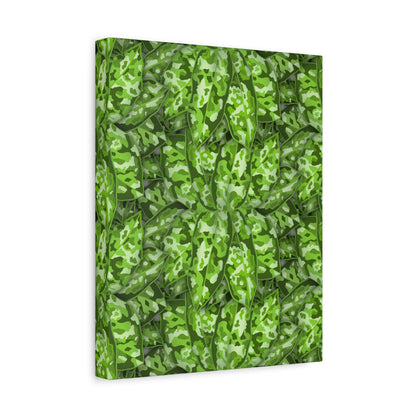 Aglaonema Pictum Canvas Print – Botanical Wall Art