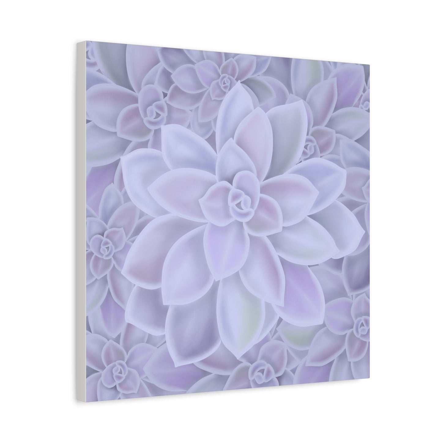 Graptopetalum Murasaki Succulent Pattern Canvas Print – Botanical Wall Art