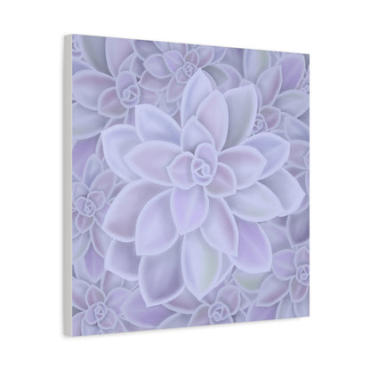 Graptopetalum Murasaki Succulent Pattern Canvas Print – Botanical Wall Art