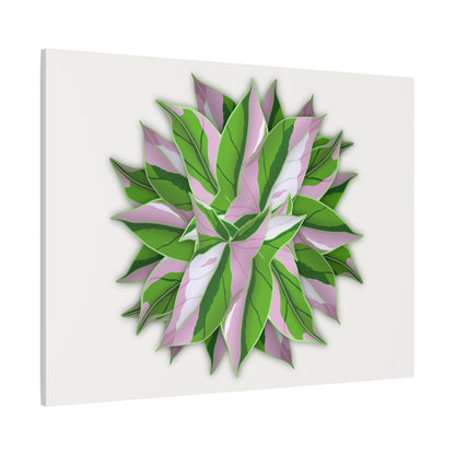 Syngonium Tricolor Pattern Canvas Print – Botanical Wall Art