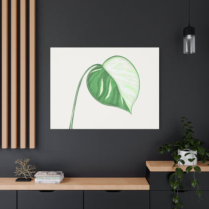Monstera Albo Canvas Print – Botanical Wall Art