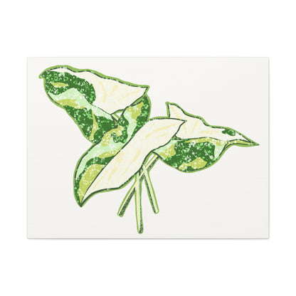 Marble Syngonium Canvas Print – Botanical Wall Art