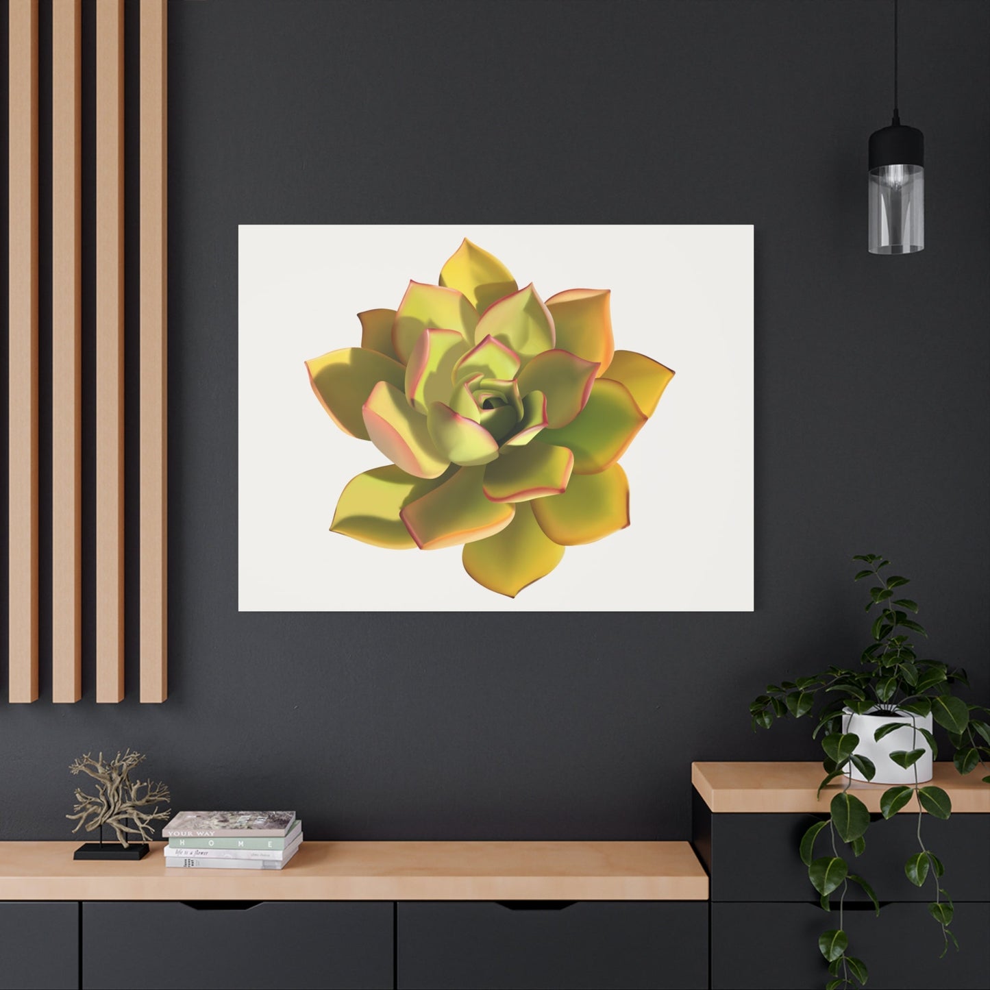Noble Aeonium Succulent Canvas Print – Botanical Wall Art