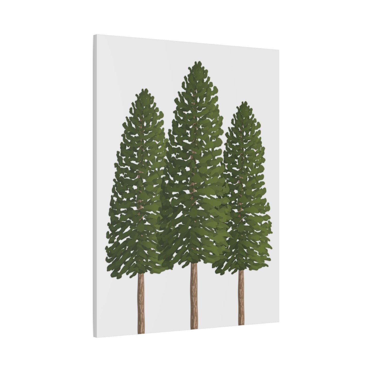 Ponderosa Pine Canvas Print – Wall Art