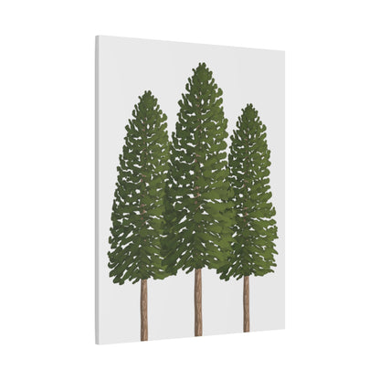 Ponderosa Pine Canvas Print – Wall Art