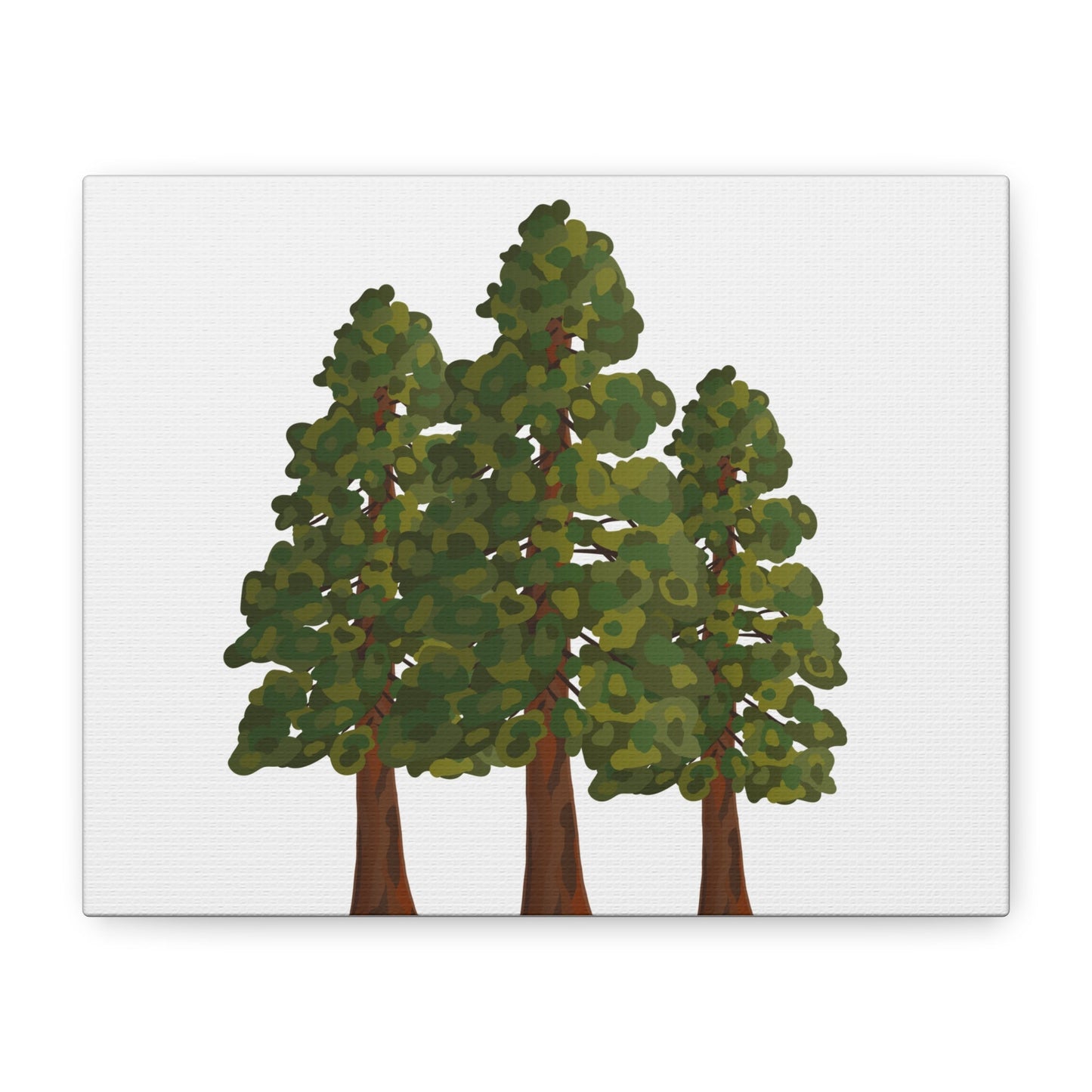 Coastal Redwood Canvas Print – Wall Art